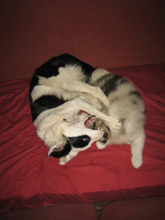 apamayyinyang